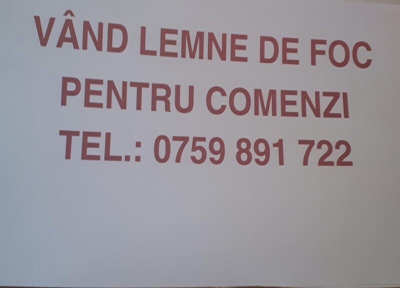 Aduc lemne de foc fag